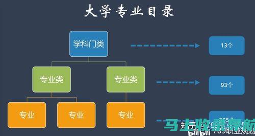 专业解读：SEO网络推广服务的核心技巧与实践案例